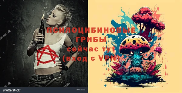 тгк Новокубанск