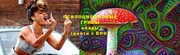 тгк Новокубанск