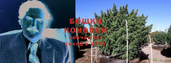 марки nbome Новозыбков