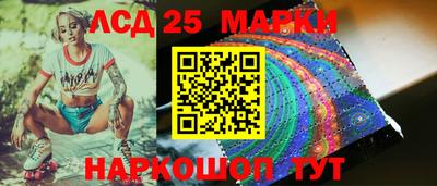 гашик Аргун