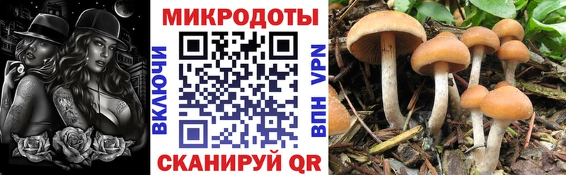 Псилоцибиновые грибы мицелий Бахчисарай