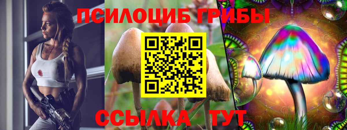 Галлюциногенные грибы GOLDEN TEACHER Бахчисарай